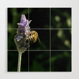 Bee on Lavender Wood Wall Art