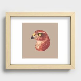 Sparrow Hawk Recessed Framed Print