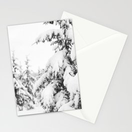 White winter Stationery Cards