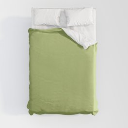 Medium Green Single Solid Color Coordinates with PPG Fern Glow PPG17-27 Color Crush Collection Duvet Cover