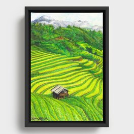 Vietnam Rice Fields Illustration Framed Canvas