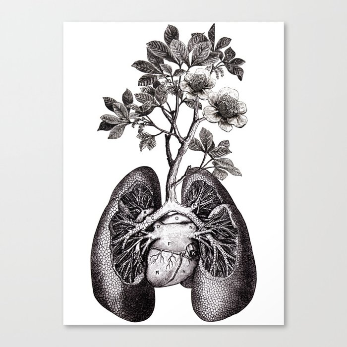 Flourishing Lungs Canvas Print