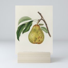 Pear Mini Art Print
