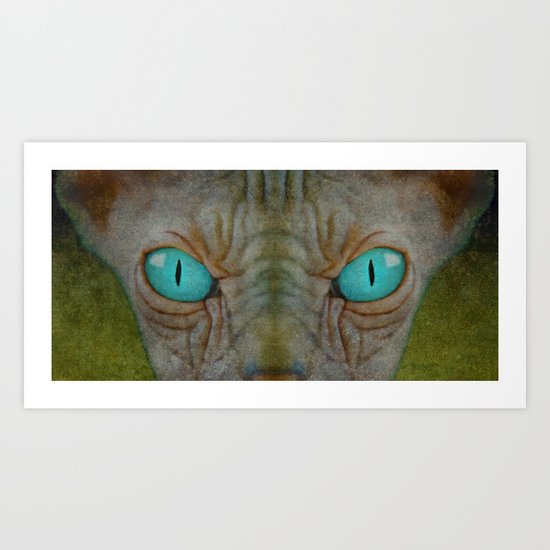 Sphynx Stare Art Print