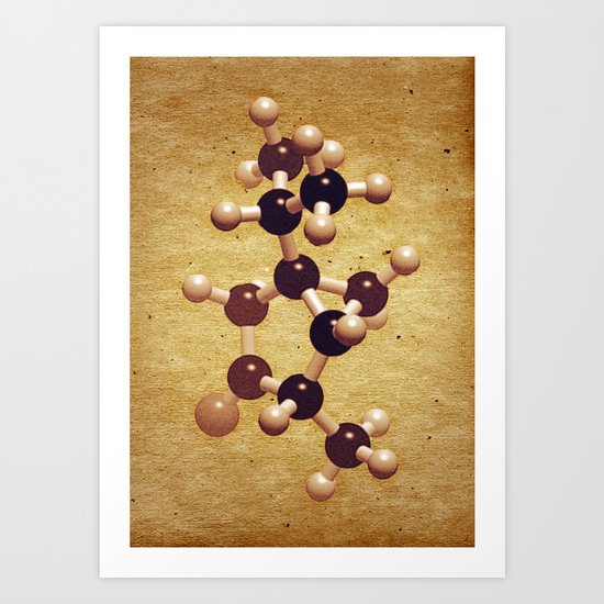 The Brown Element Art Print