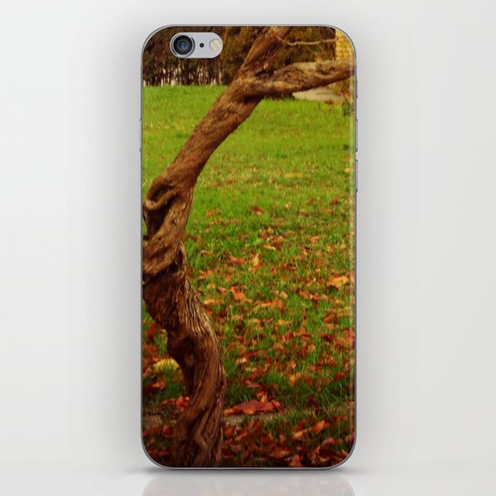 Twisted Life iPhone & iPod Skin