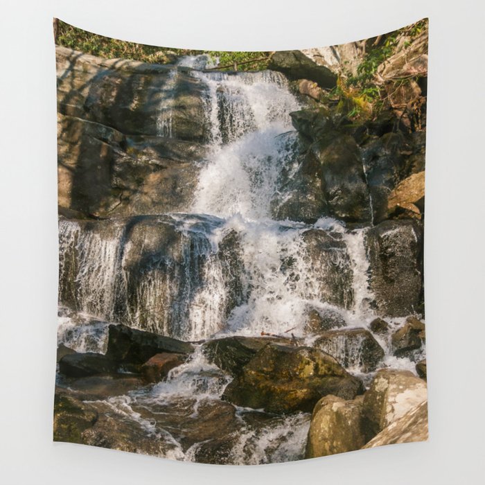 The Trickle Down Wall Tapestry