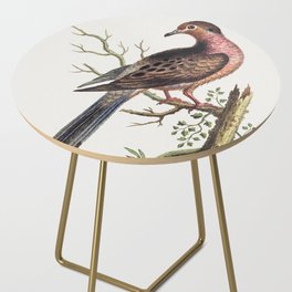 Vintage bird illustration Side Table