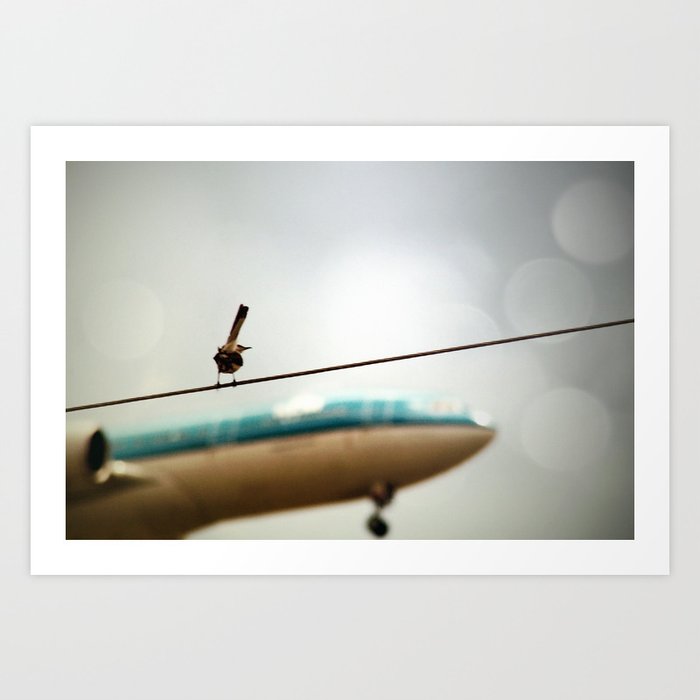 It's a Bird, It's a Plane! Art Print