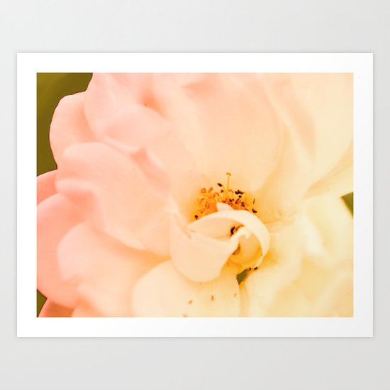 Just Peachy Art Print