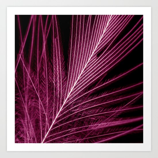 feather VI Art Print