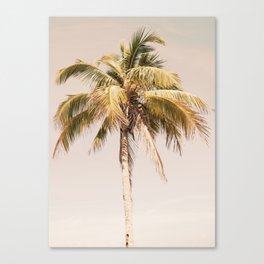 Palm Tree Beach Dream #2 #wall #art #society6 Canvas Print