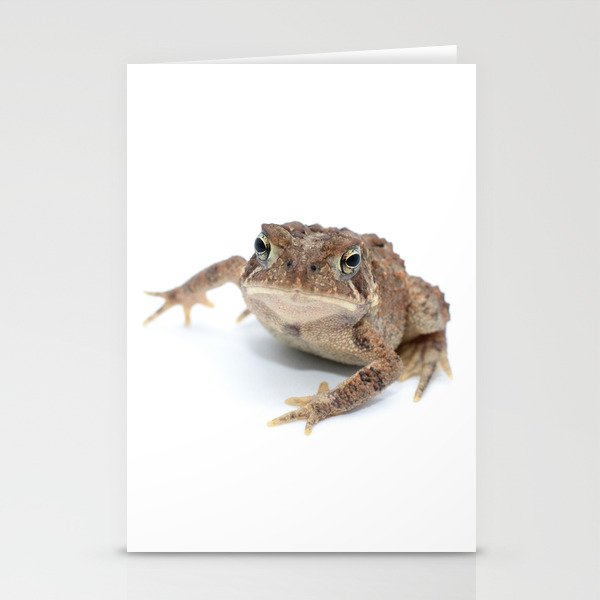 Simply Amphibian - Toad 2 Stationery Cards