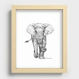 African Elephant Recessed Framed Print