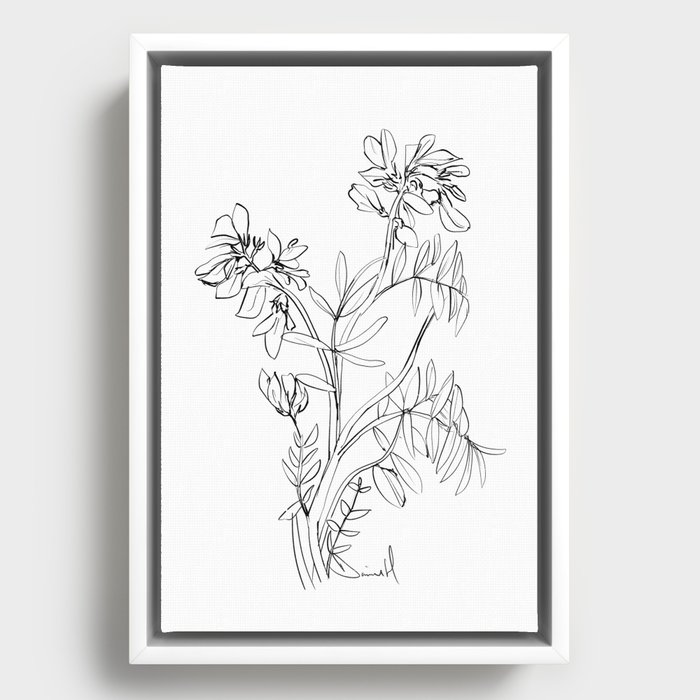 Framed Canvas