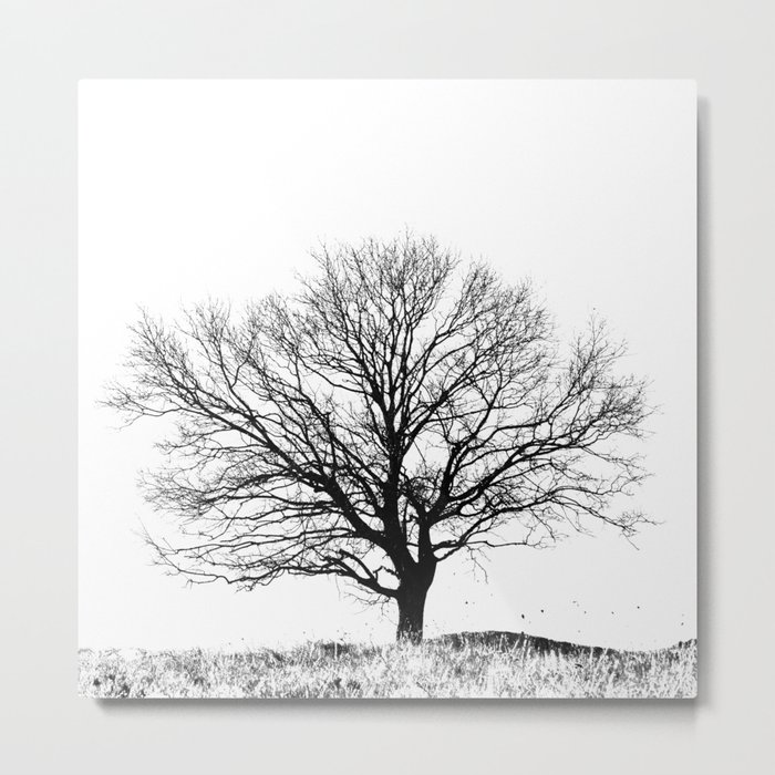 Black and White tree Metal Print