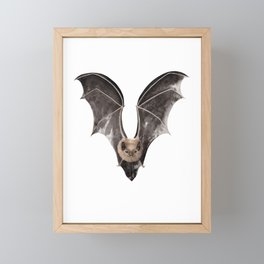 Long Tailed Bat / Pekapeka Framed Mini Art Print