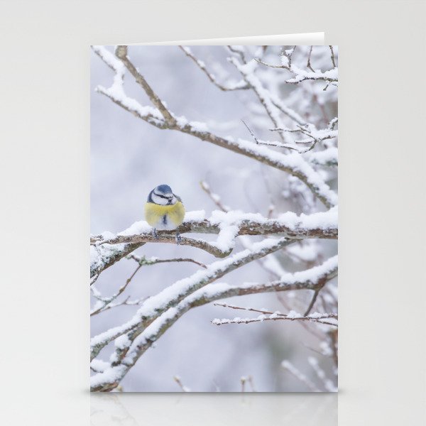 Blue Tit Bird On A Snowy Branch Winter Scene #decor #society6 #buyart Stationery Cards