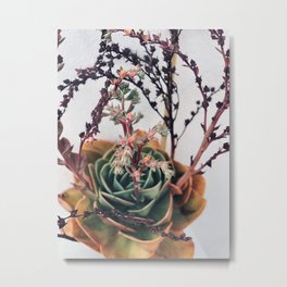 Cactus flower Metal Print