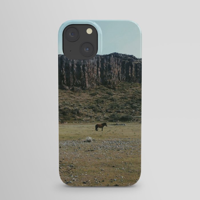 Rock Pasture Pony iPhone Case