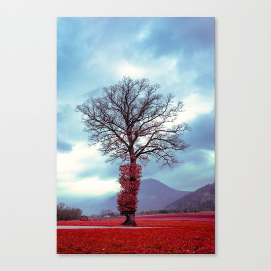 Tree of Life Canvas Print