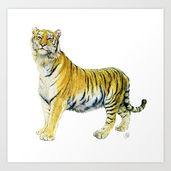 Tiger Art Print