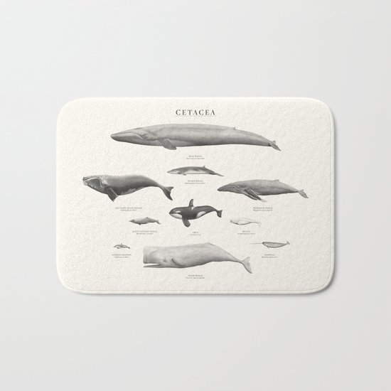 Cetacea Bath Mat