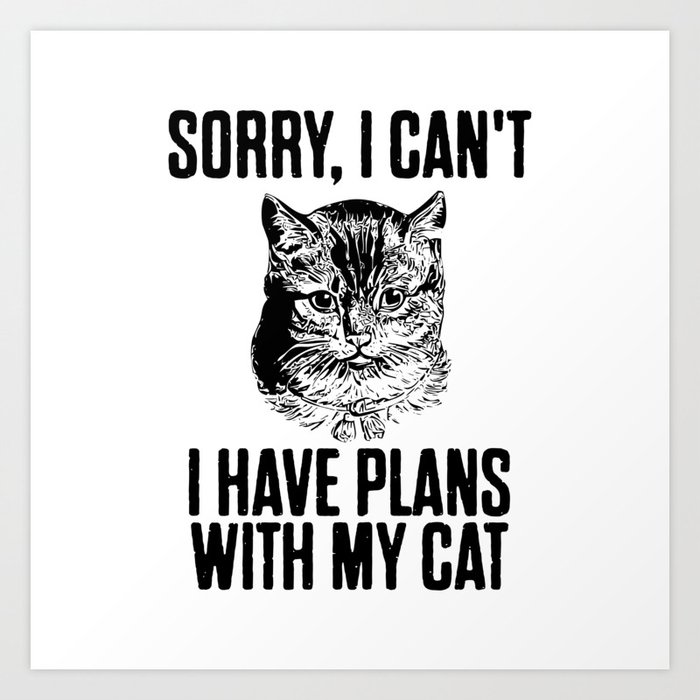 I have plans with my cheap cat