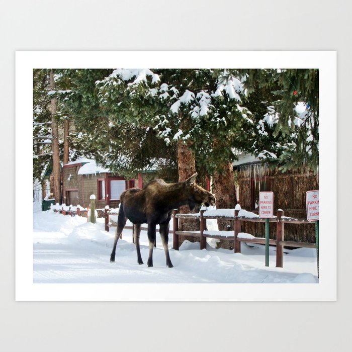 Moose Parking in Snow Art Print