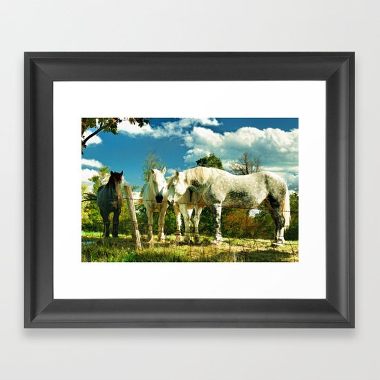 Amish work horses Framed Art Print