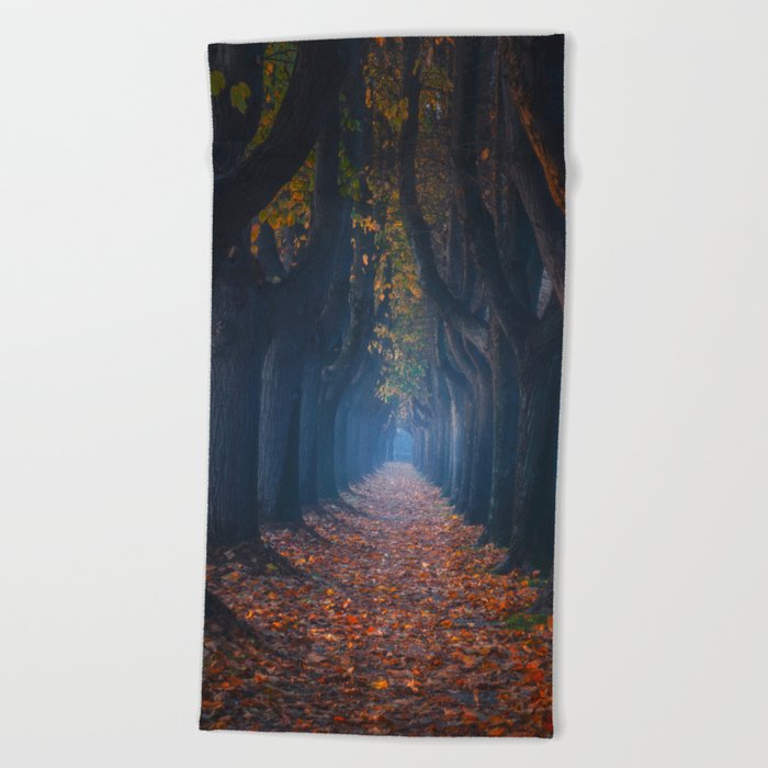 Autumn foliage in tree-lined walkway. Lucca, Italy. Beach Towel