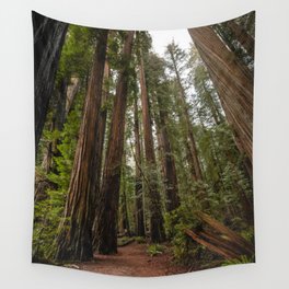 Redwood Forest Adventure VII - Nature Photography Wall Tapestry