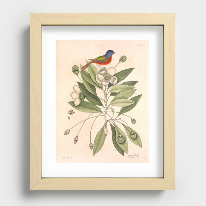 Recessed Framed Print