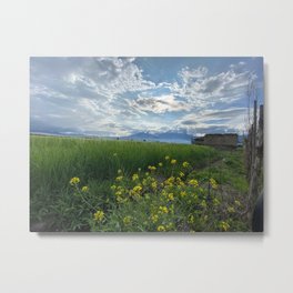 Field of Yellow Flowers Metal Print | Landscape, Cartersandecuador, Photo, Color, Yellowflowers, Ecuador, Fieldlandscape 