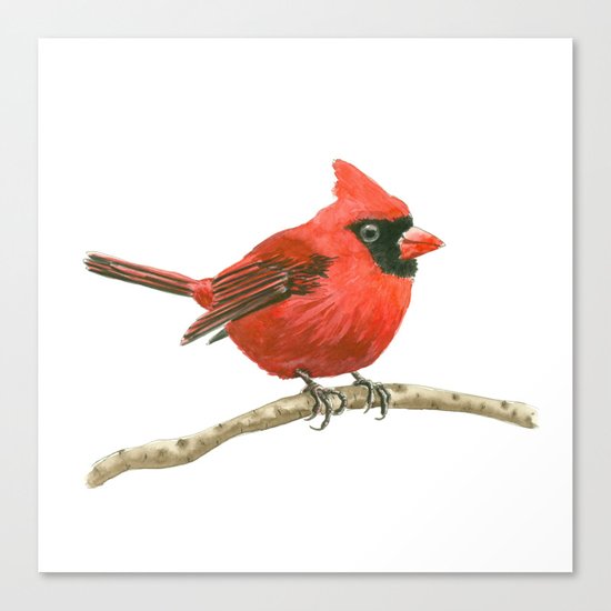 Cardinal bird Canvas Print