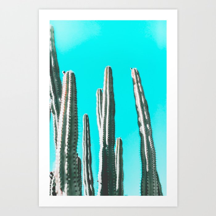 Desert Cactus Vintage Southwest Saguaro Joshua Tree Succulents IX Art Print