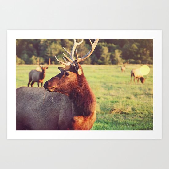 Summer Fields | 05 Art Print