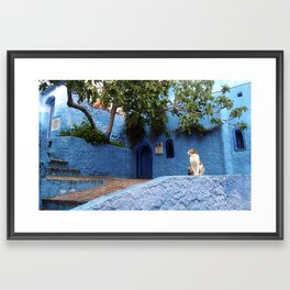 Blue City Morocco - Cat photo Framed Art Print