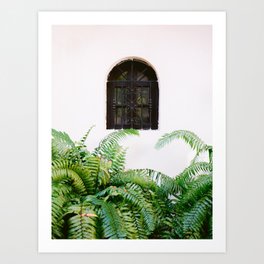 Santo Domingo window | Minimalistic botanical travel photography print | Dominican Republic wall art Art Print