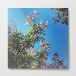 Tree blossom Metal Print | Photo, Nature, Vintage 