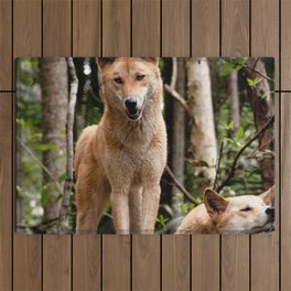 Australia Photography - Two Wild Dogs In The Forest Outdoor Rug
