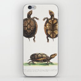Vintage turtles illustration iPhone Skin
