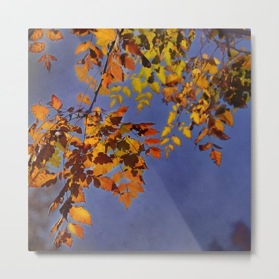 Autumn dreams Metal Print