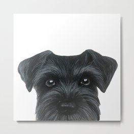 Black Schnauzer, Dog illustration original painting print Metal Print | Pet, Popart, Fluffy, Acrylic, Schnauzer, Modern, Black, Dog, Cute, Portrait 