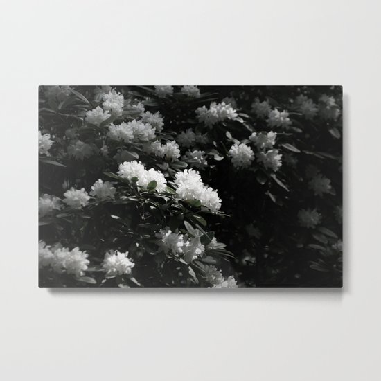 SEA OF BLOSSOMS Metal Print