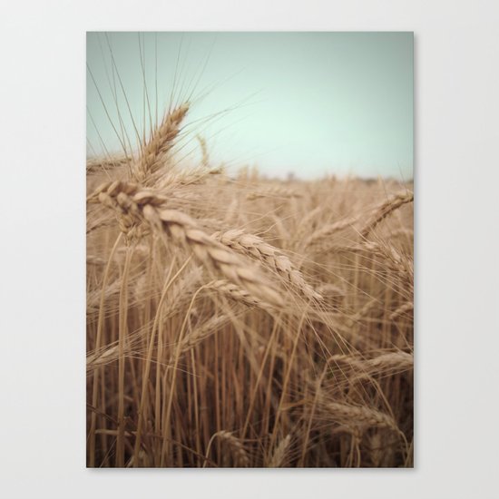 Farm Charm Canvas Print