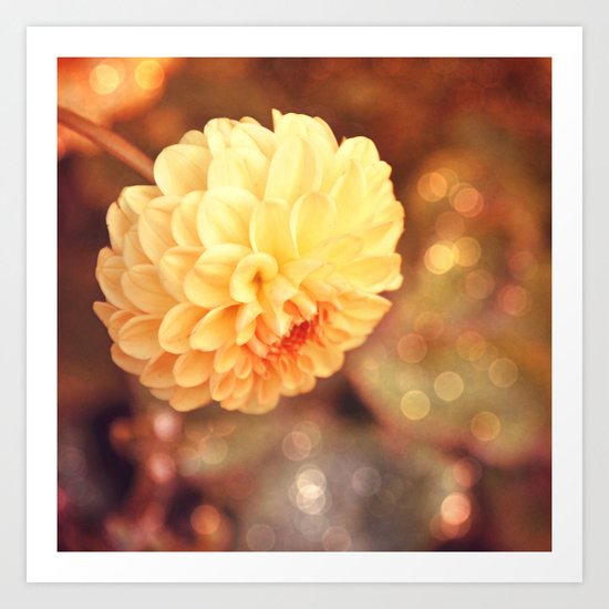 Autumn dahlia Art Print