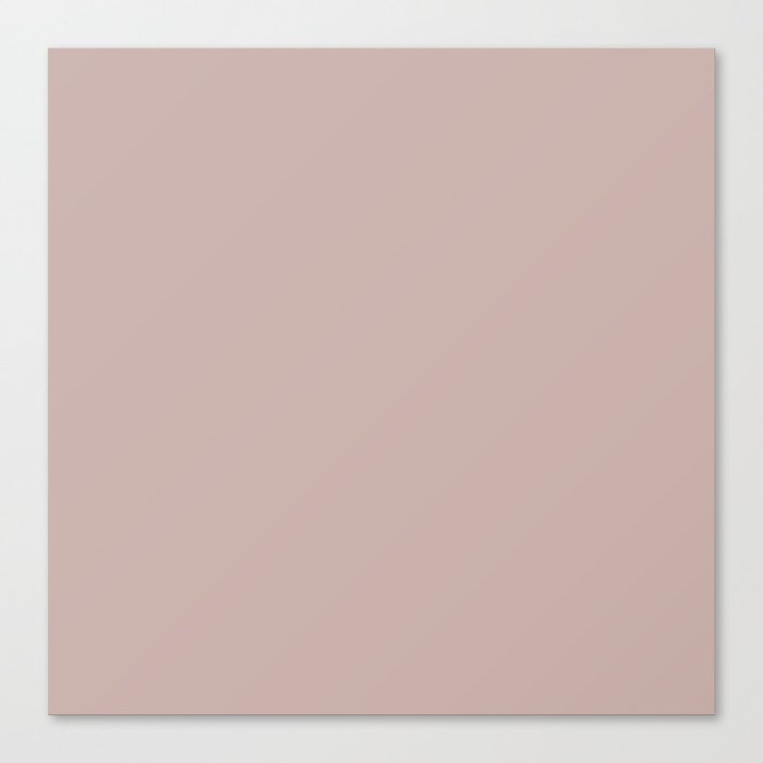 Insightful Rose dusty pink solid color modern abstract pattern Canvas Print