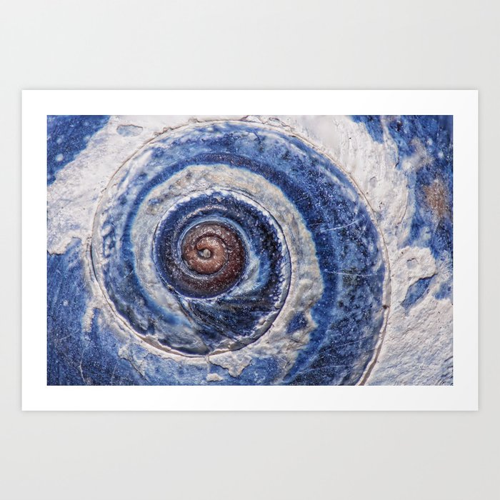 Blue spiral sea snail Art Print