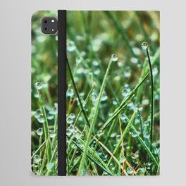 Scottish Highlands Spring Dew in I Art iPad Folio Case